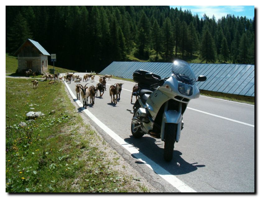 027 - La mia amata moto